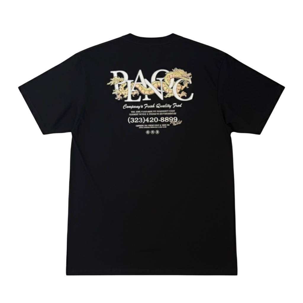 CAMISETA PLANO C DRAGON II PRETO