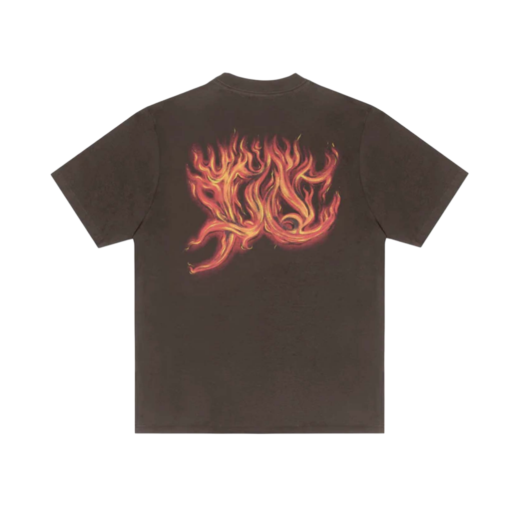 CAMISETA PLANO C FLAMES MARROM